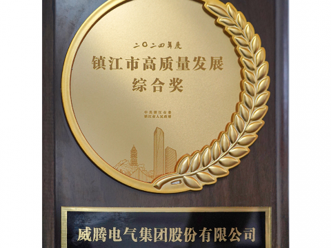 喜讯│J9集团国际站荣获2024年度镇江市高质量发展综合奖